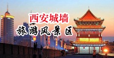黑丝渔网,小骚穴中国陕西-西安城墙旅游风景区